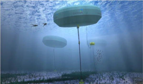 CFD An Indispensable Tool For Wave Energy