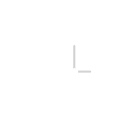 Speed/ flexible time_icon_desktop white
